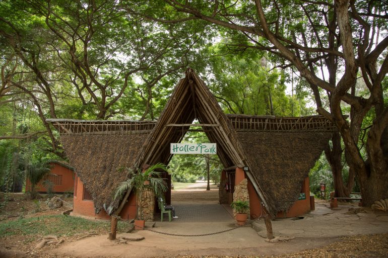 A path with trees on the side of a building